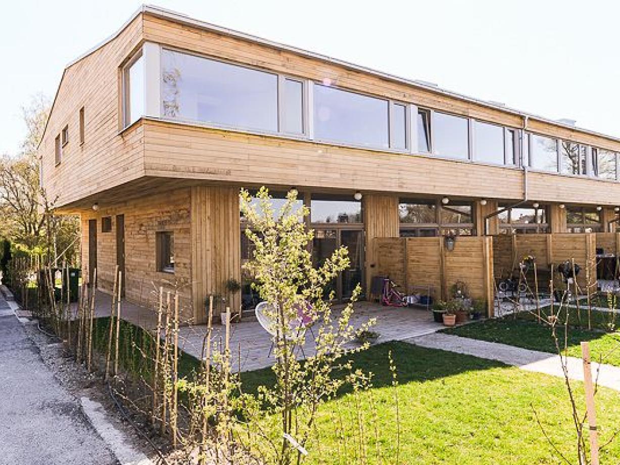 Brf Shiitake 4 Exterior