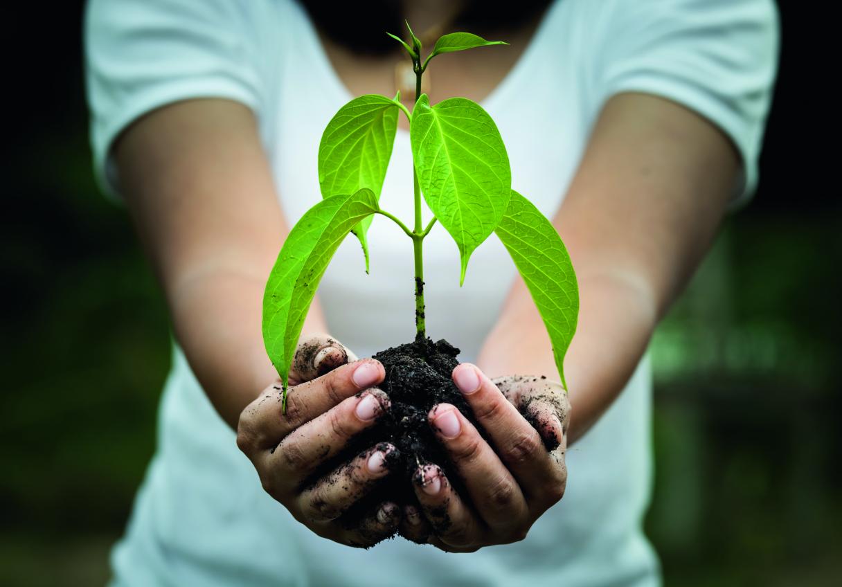 Under Natural Steps-programmet har Puustelli kompenserat 420 tusen kg CO2 genom att plantera kolsänkor i Mikkeli.