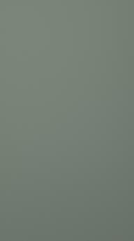 Lackad-lucka, Chic, TML16, Reed green, matt