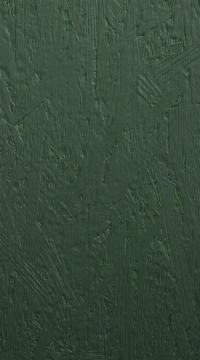 FosbART-lucka, Unique, TP28, Conifer