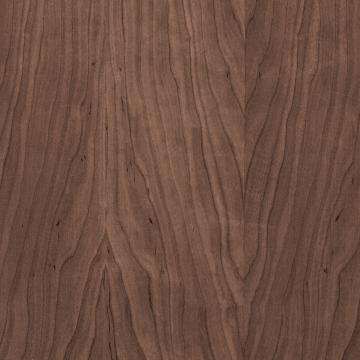 Björkfaner stommar, Pecan